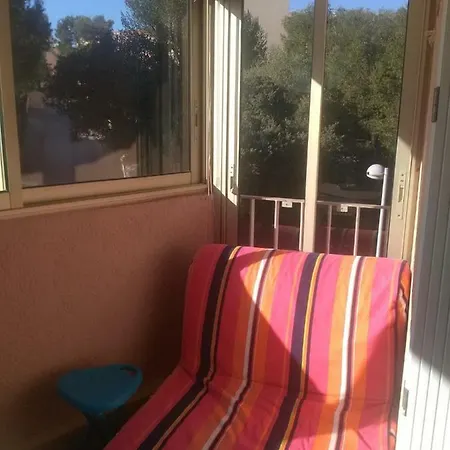 Summer Garden- 